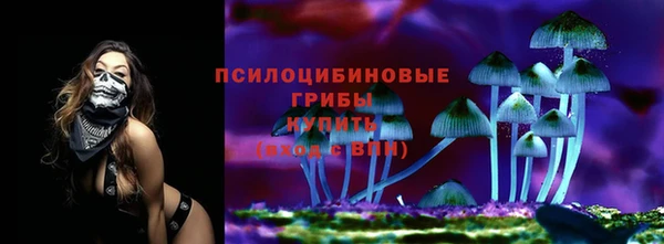 марихуана Медногорск
